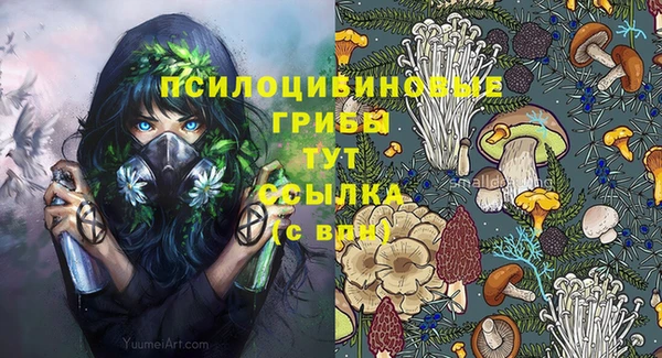 бошки Лиски