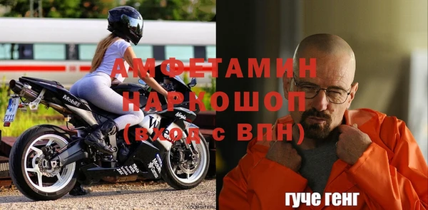 винт Лагань