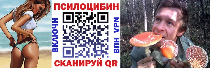 ОМГ ОМГ ссылки  Домодедово  Псилоцибиновые грибы мухоморы 