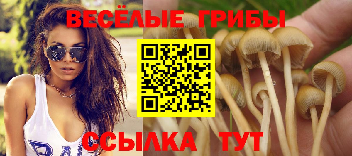 Конопля Домодедово